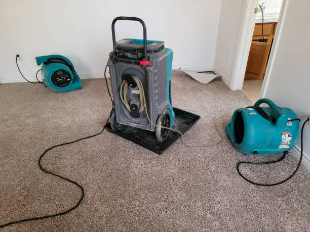 Trusted Hillcrest, IL Water damage restoration Experts