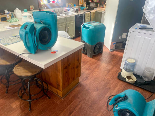 Best Water damage restoration insurance claims  in Hlcrest, IL