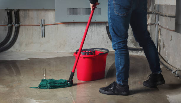Best Mold removal after water damage  in Hlcrest, IL