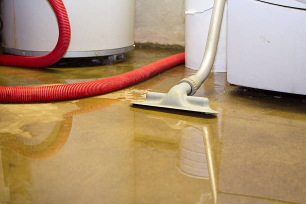 Water damage restoration process in Hillcrest, IL